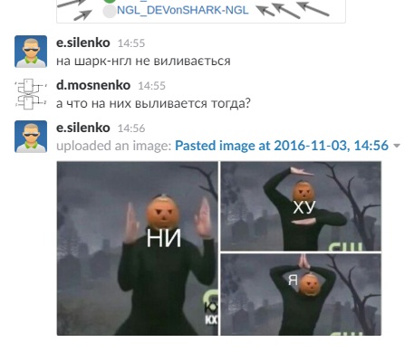 .jpg