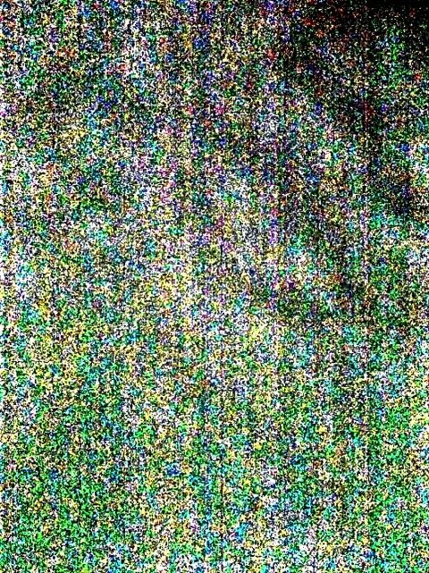 RIS.jpg