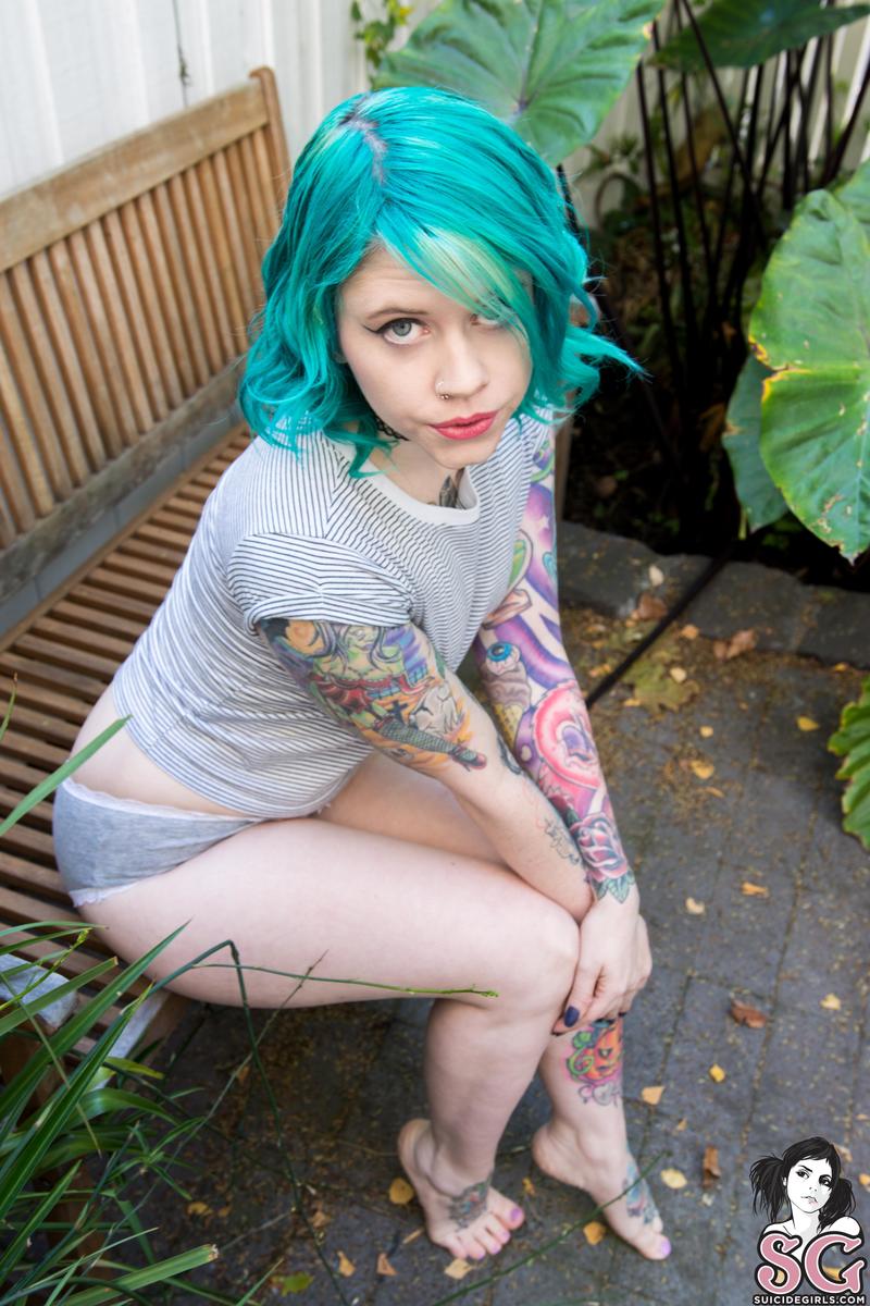 elixia-purrr-01.jpg