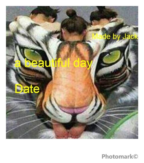 RIS.jpg