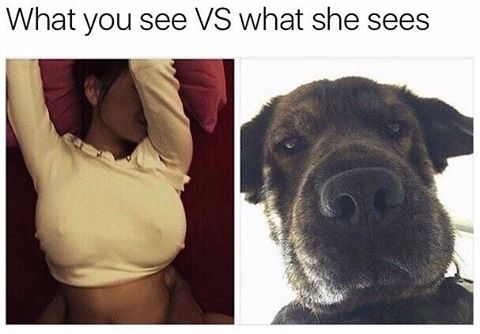 boi.jpg