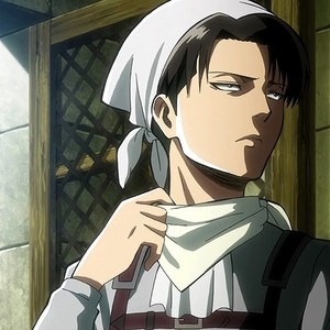 Levi-Rivaille-Shingeki-no-Kyojin-image-levi-rivaille-shingeki-no-kyojin-36581327-300-300.jpg