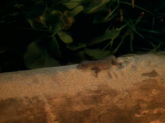 Star.Trek.Voyager.s01e06.The.Cloud.x264-LMK.mkv_snapshot_26.38_2016.11.05_19.34.40.jpg
