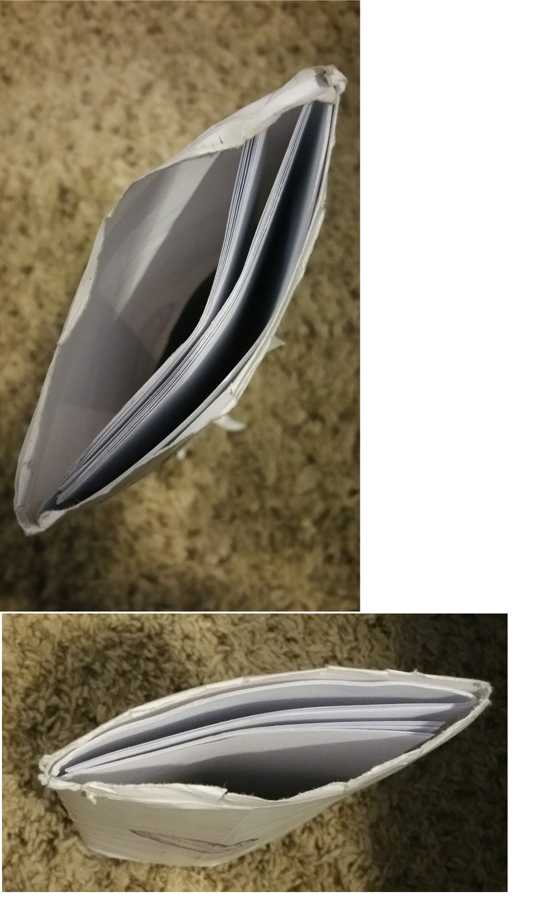ripped.jpg