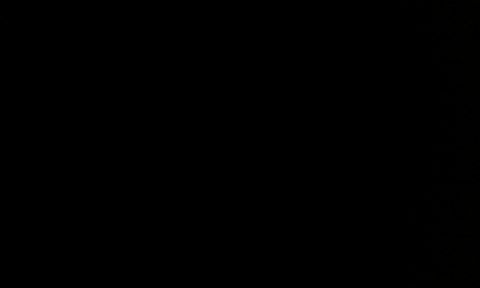 RIS.jpg
