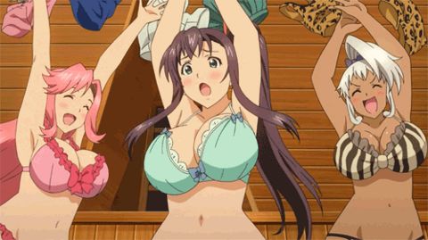 RIS.jpg