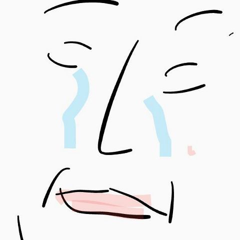 RIS.jpg