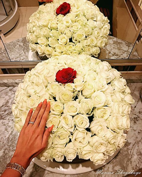 RIS.jpg