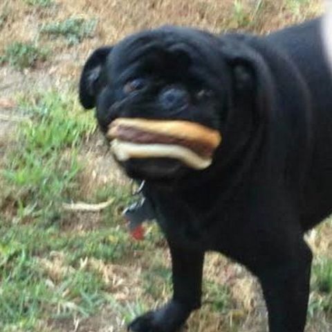 RIS.jpg
