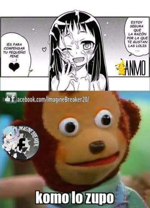 RIS.jpg