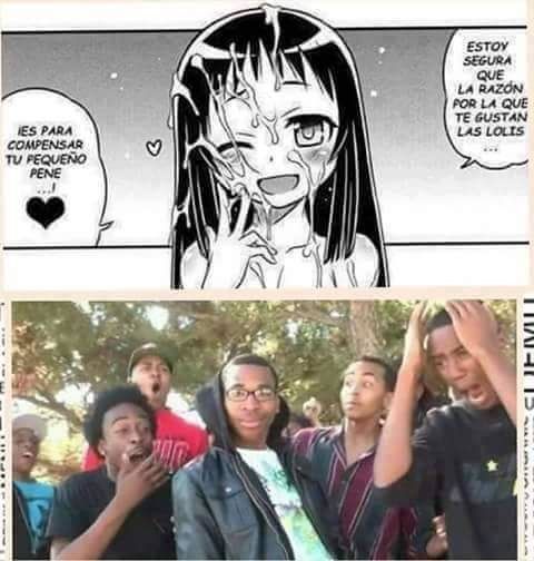 RIS.jpg