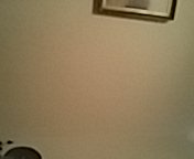capture.jpg