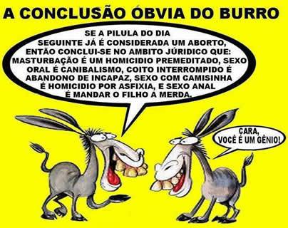 a-conclusc3a3o-do-burro.jpg
