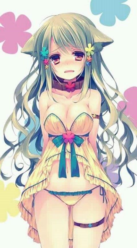 RIS.jpg