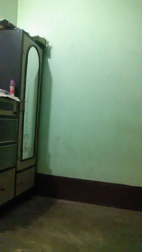 RIS.jpg