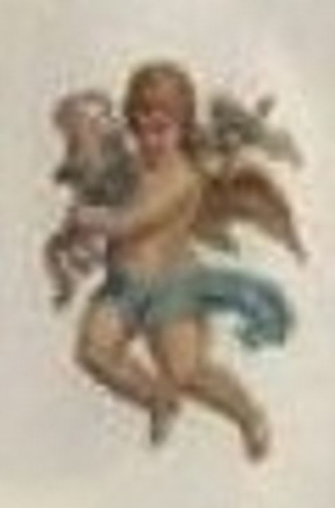 RIS.jpg