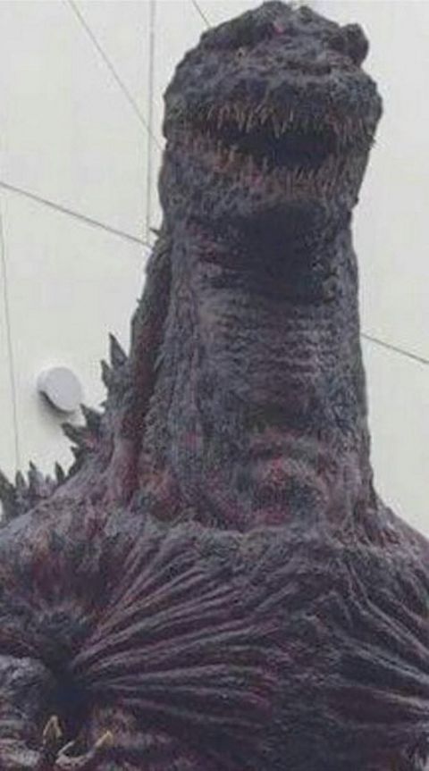 RIS.jpg