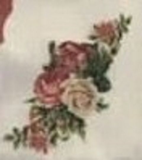 RIS.jpg