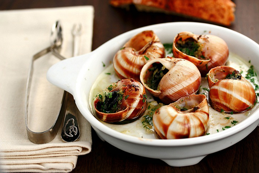 Escargot_vinogradnieulitki-2.jpg