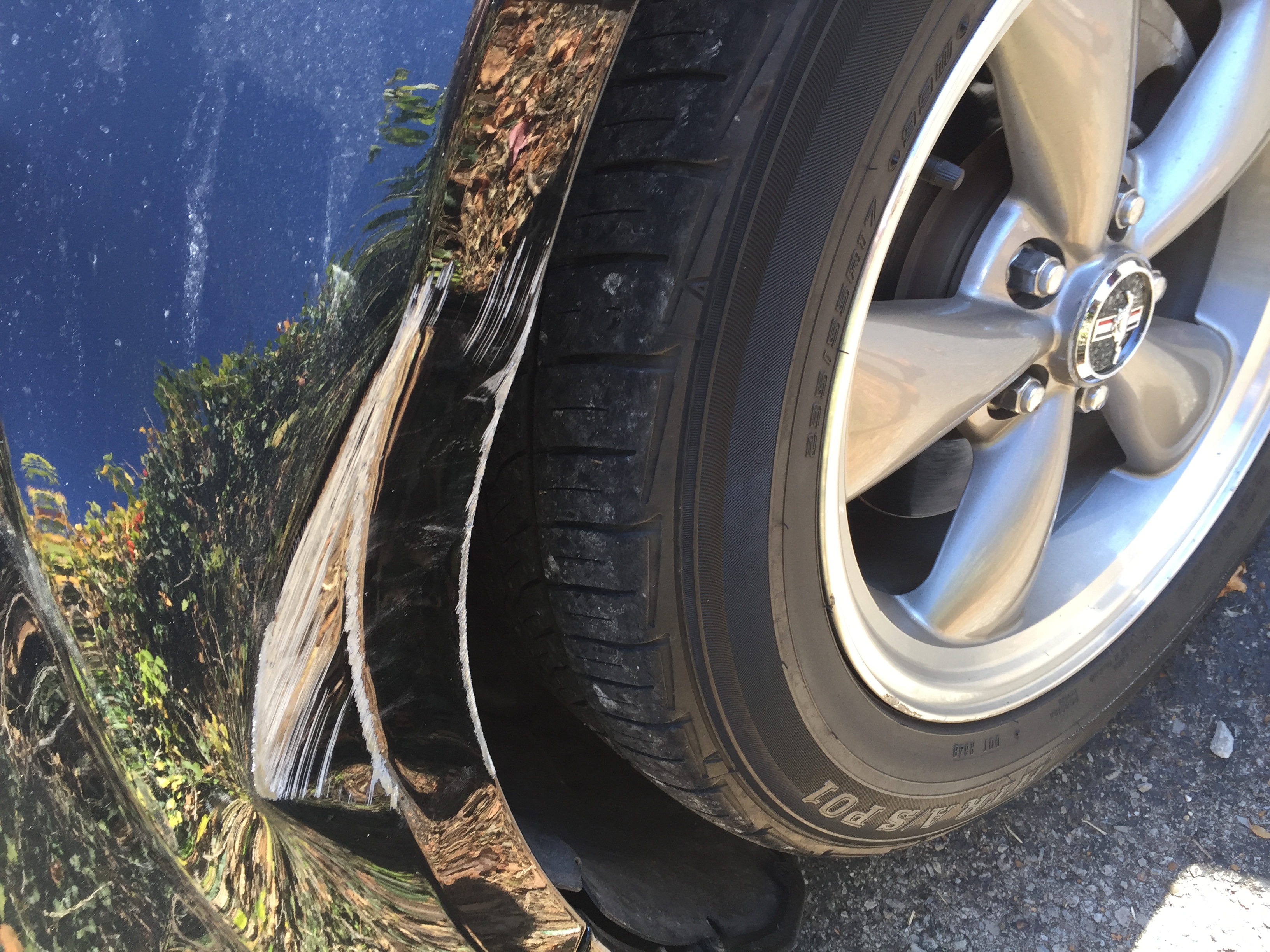 50101110529__F57A6D2B-41BE-4911-8A85-5CABBDABC580.JPG