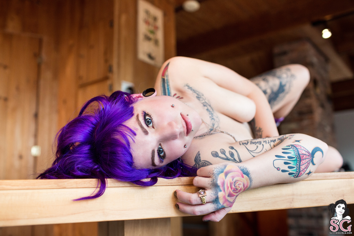vayda-violetsunset-27.jpg