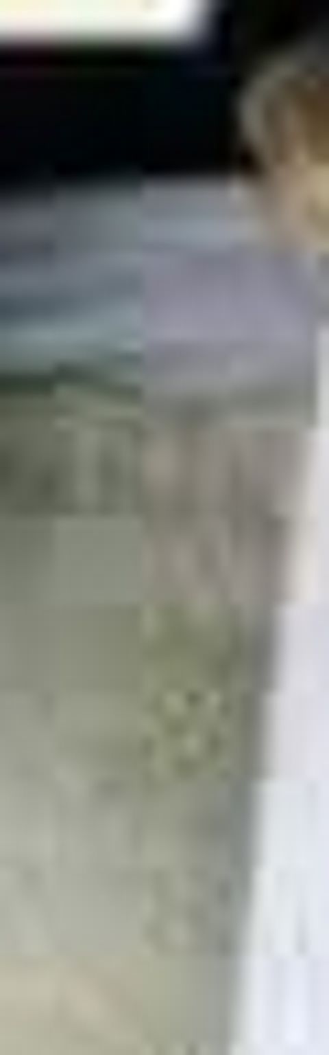 RIS.jpg
