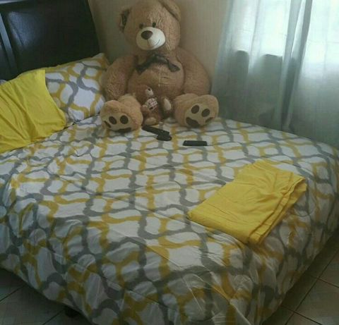 RIS.jpg