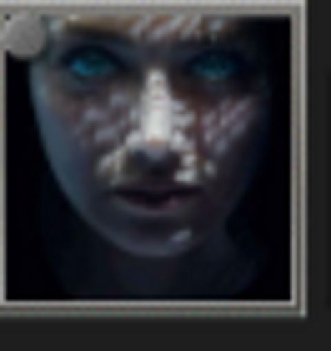 RIS.jpg