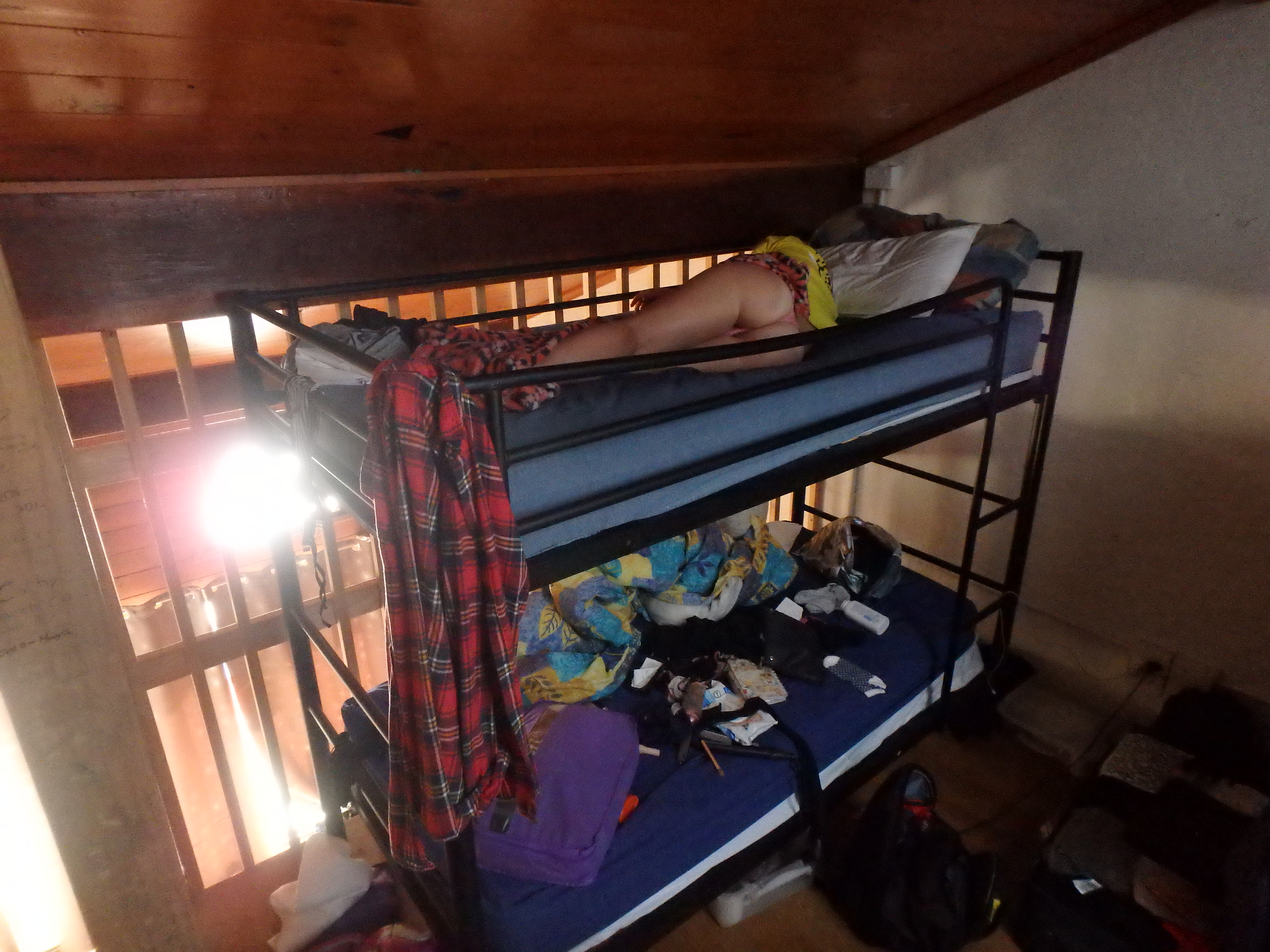 PA230026.JPG