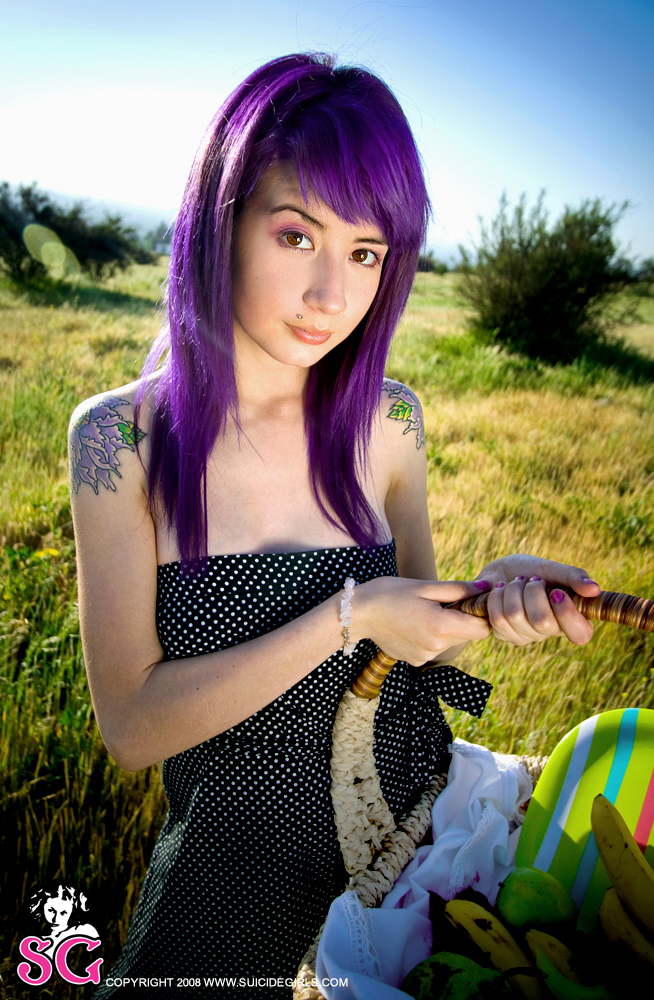 uva-veggiepicnic-01.jpg