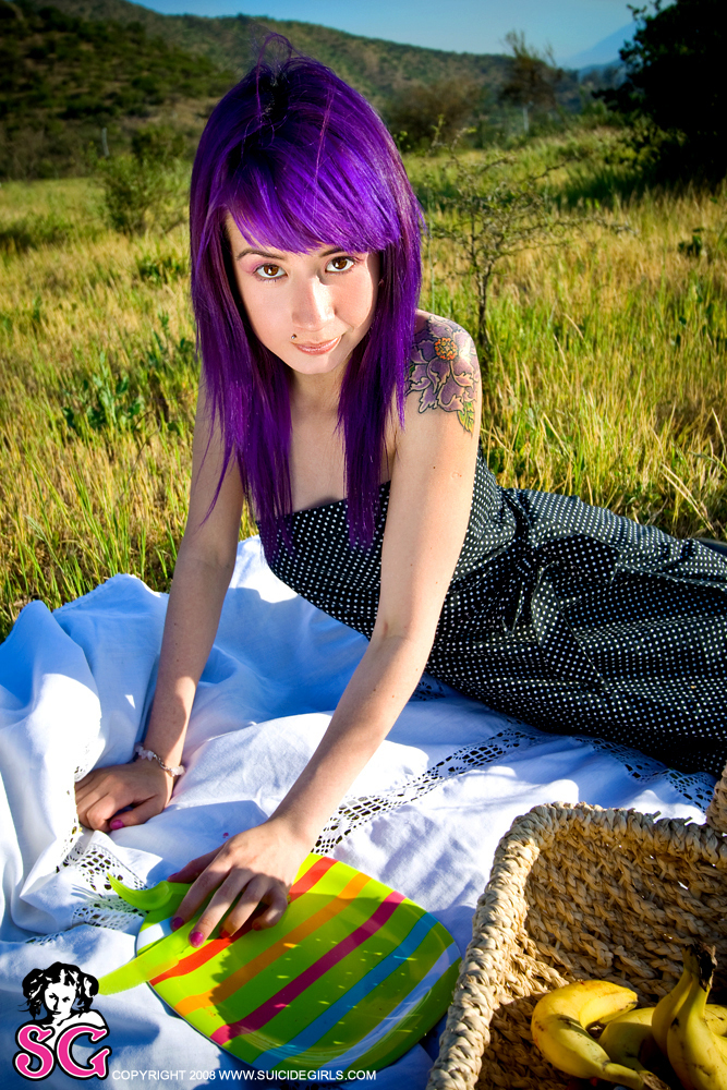 uva-veggiepicnic-07.jpg