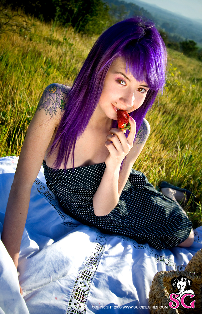uva-veggiepicnic-09.jpg