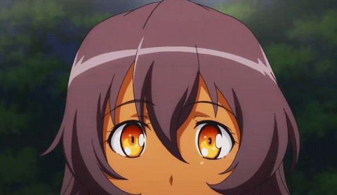 RIS.jpg