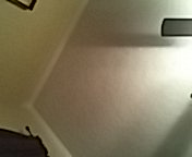 capture.jpg