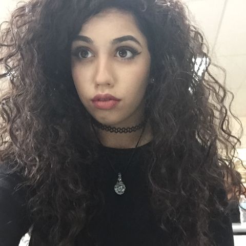 RIS.jpg