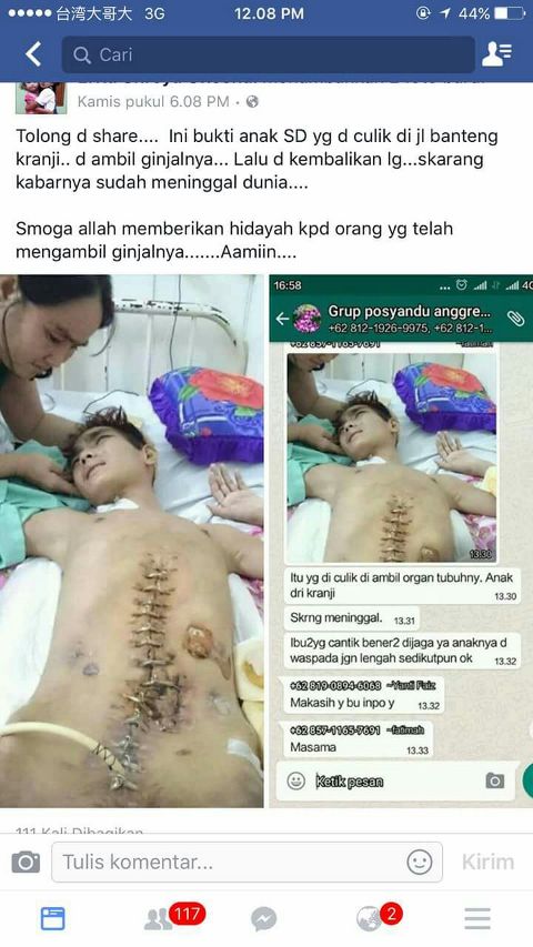 RIS.jpg