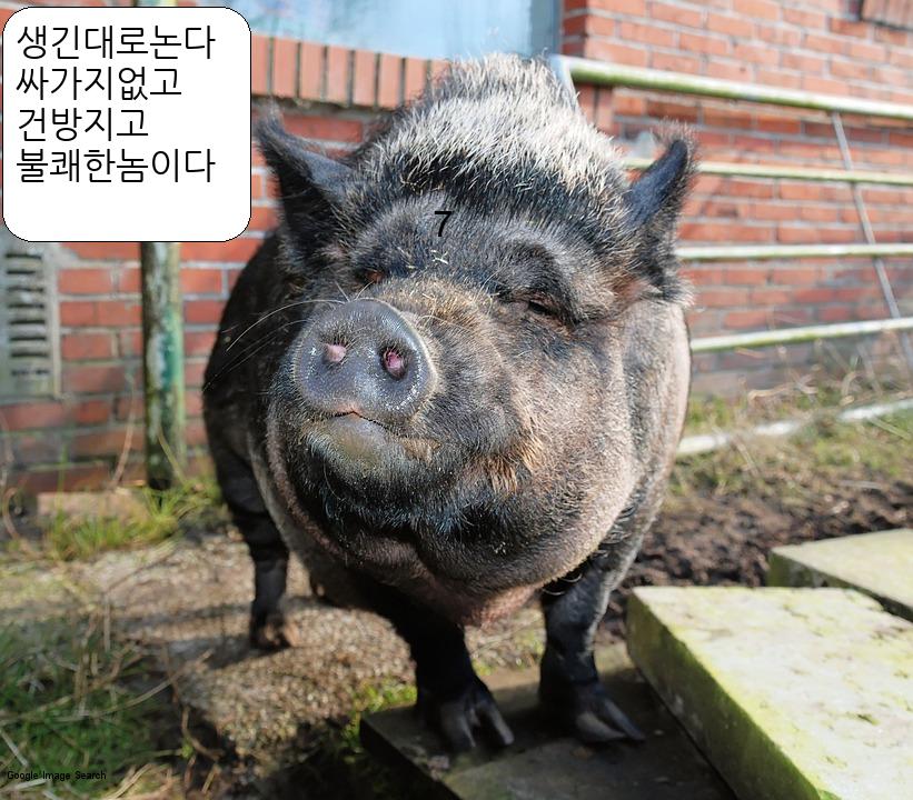 김칠 gis