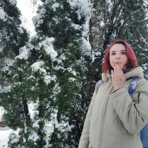 RIS.jpg