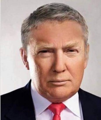 rsz_trump_hair.jpg