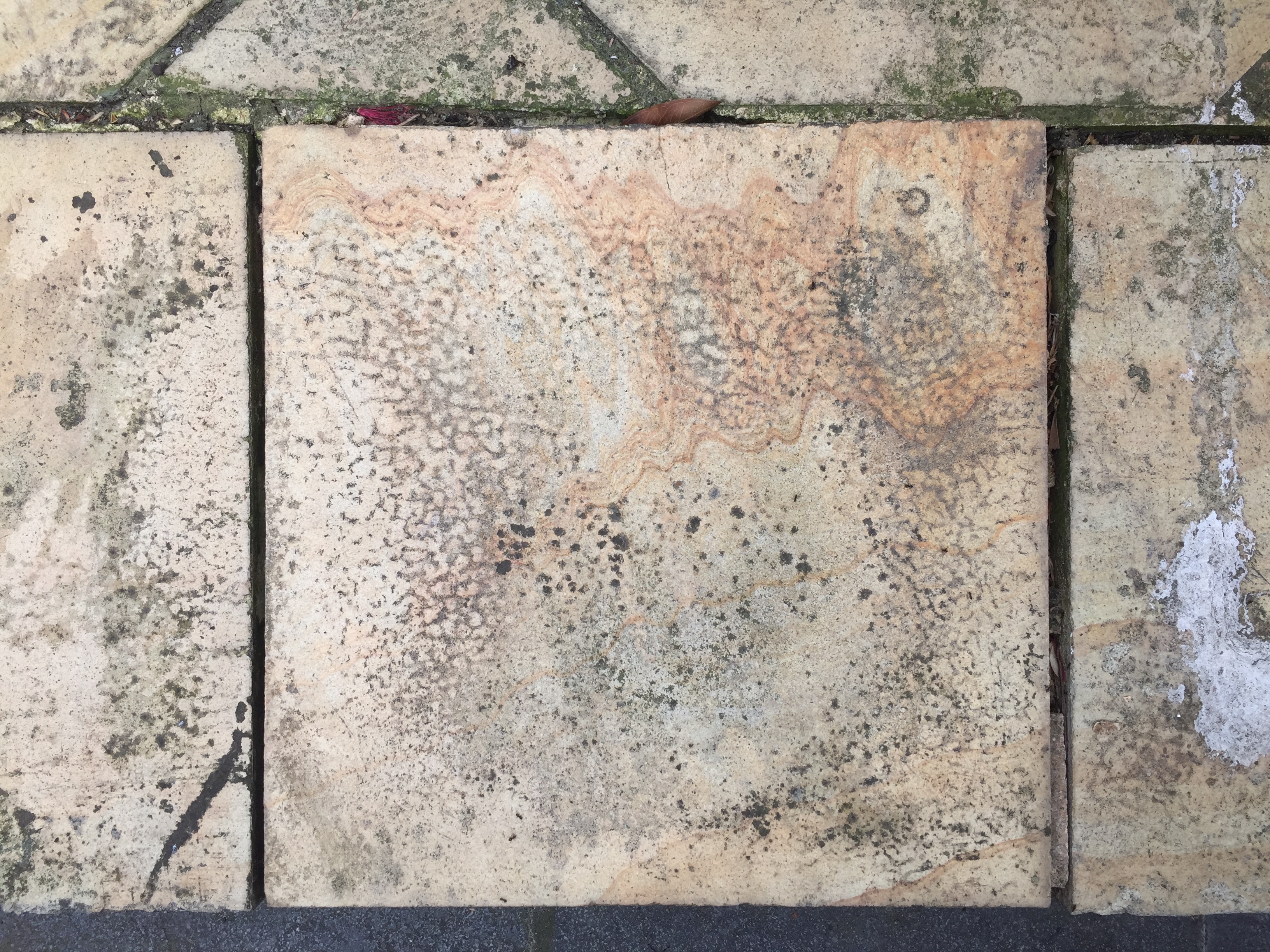 Courtyard tile