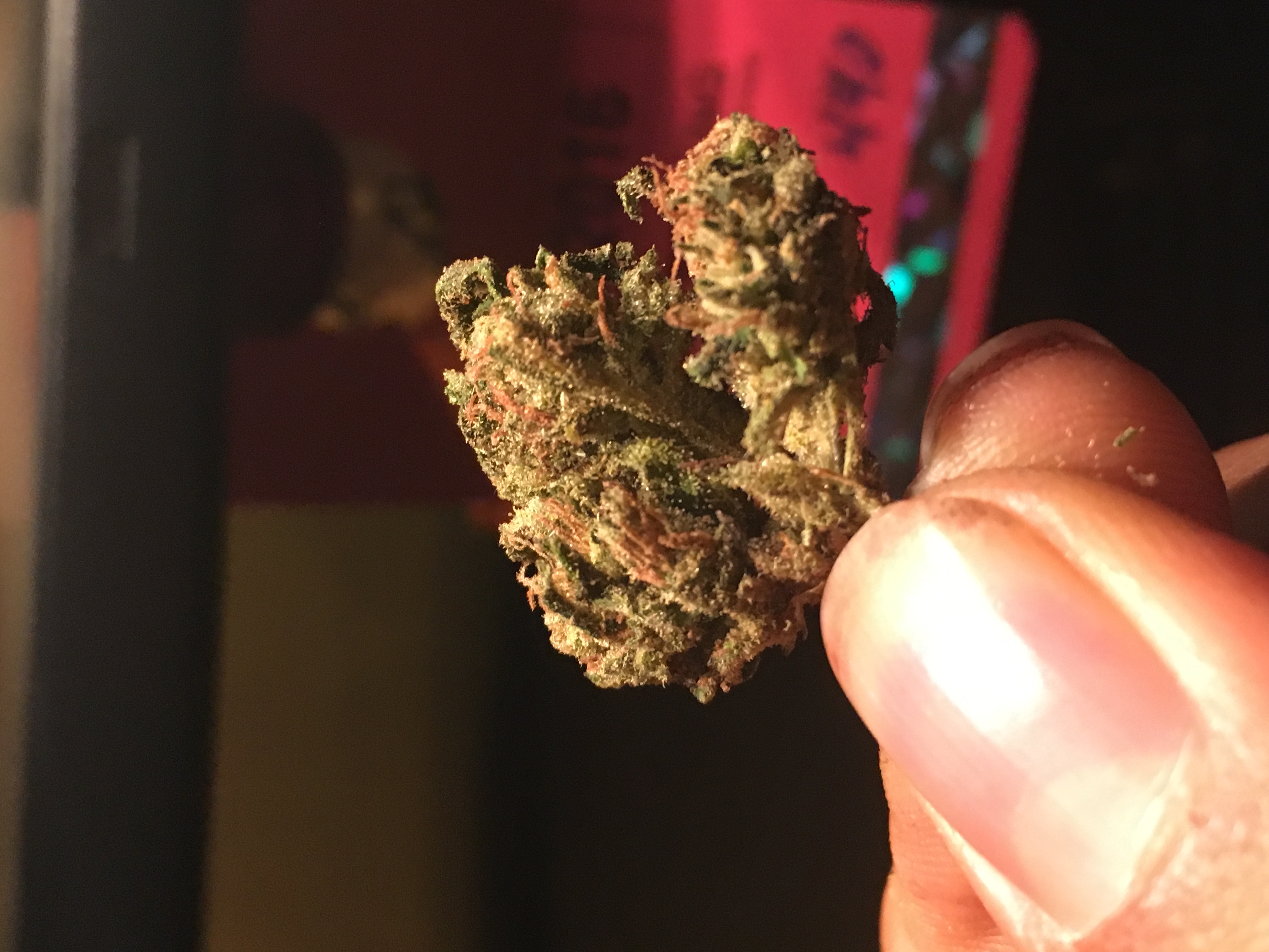 bud1