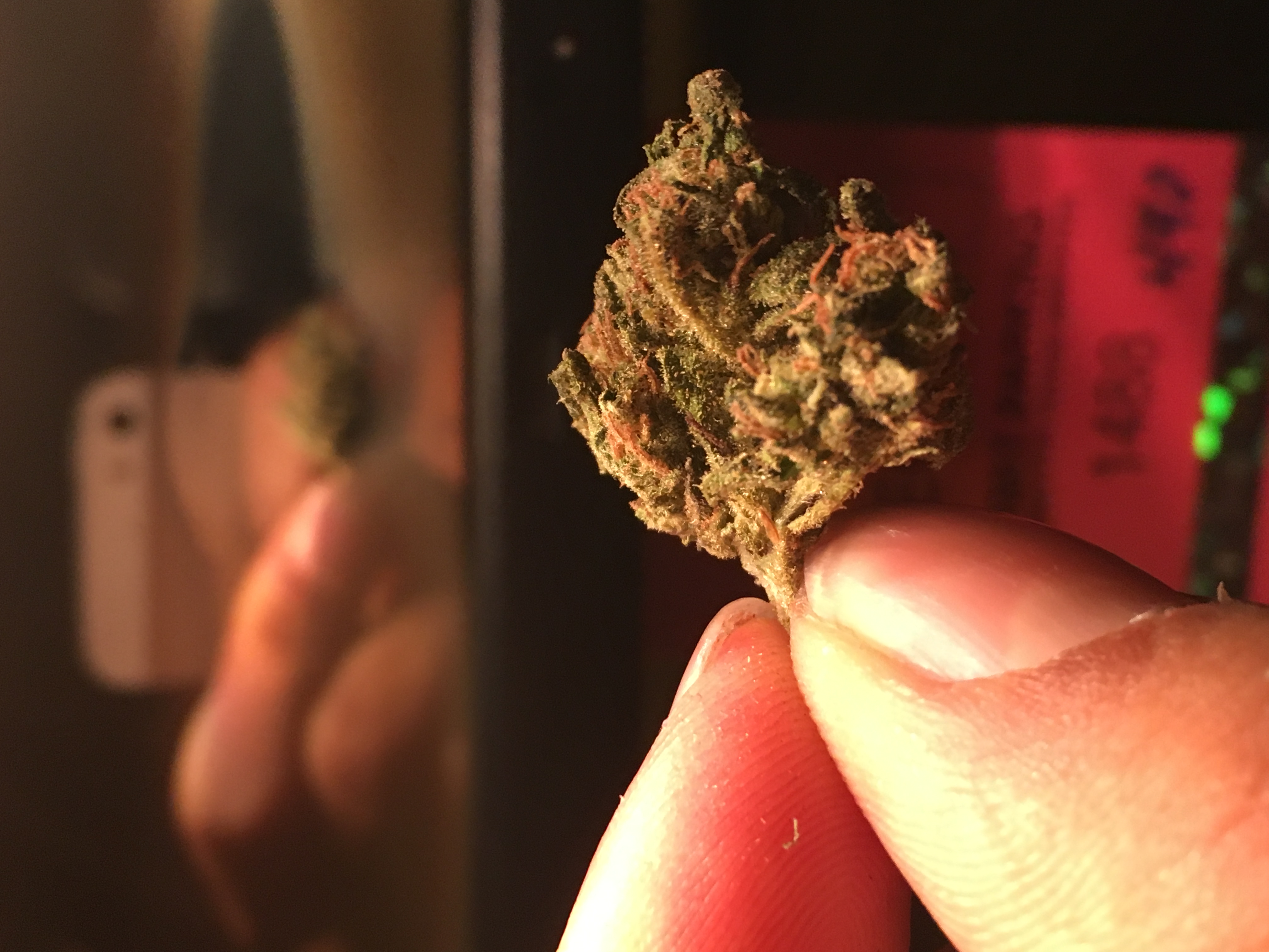 bud2