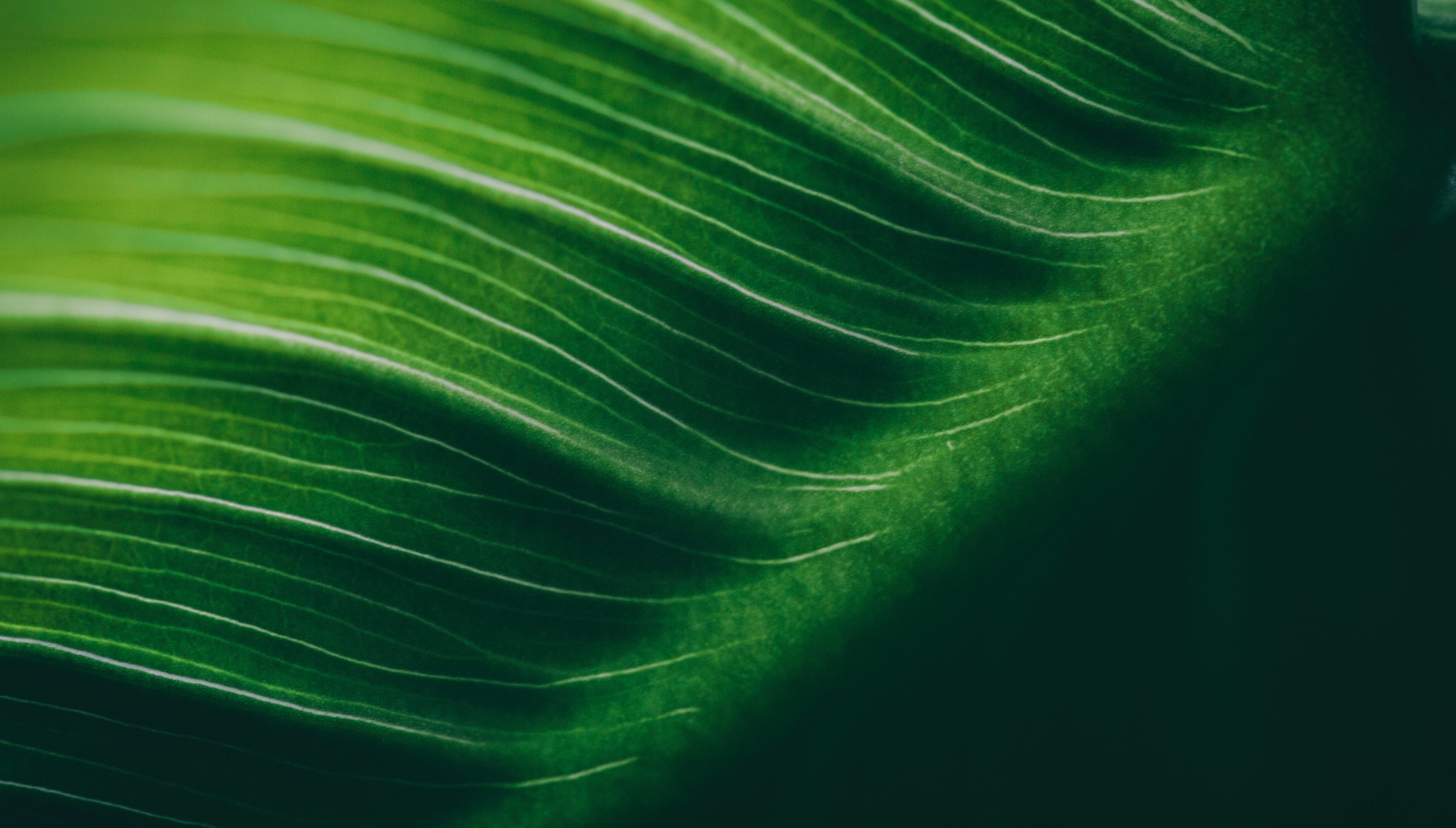 iStock_65698097_LARGE.jpg