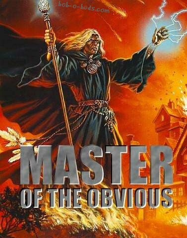 masteroftheobvious1.jpg