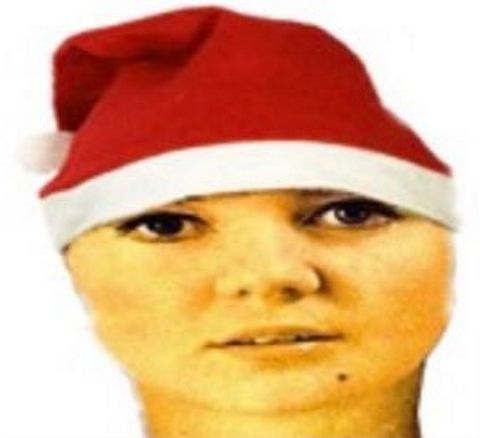 RIS.jpg