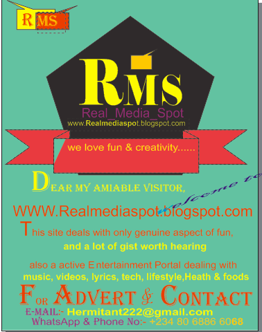 Realmediaspot.blogspot.com