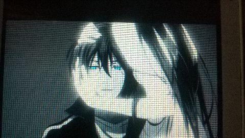 RIS.jpg