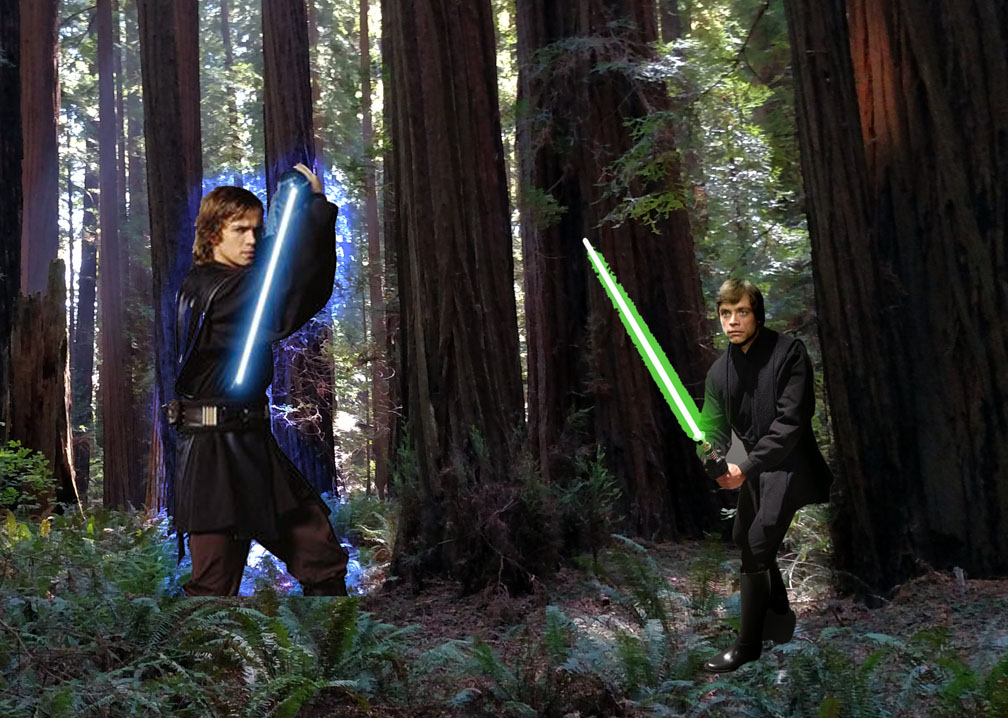 AnakinandLukeTrain