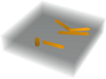 Y.jpg