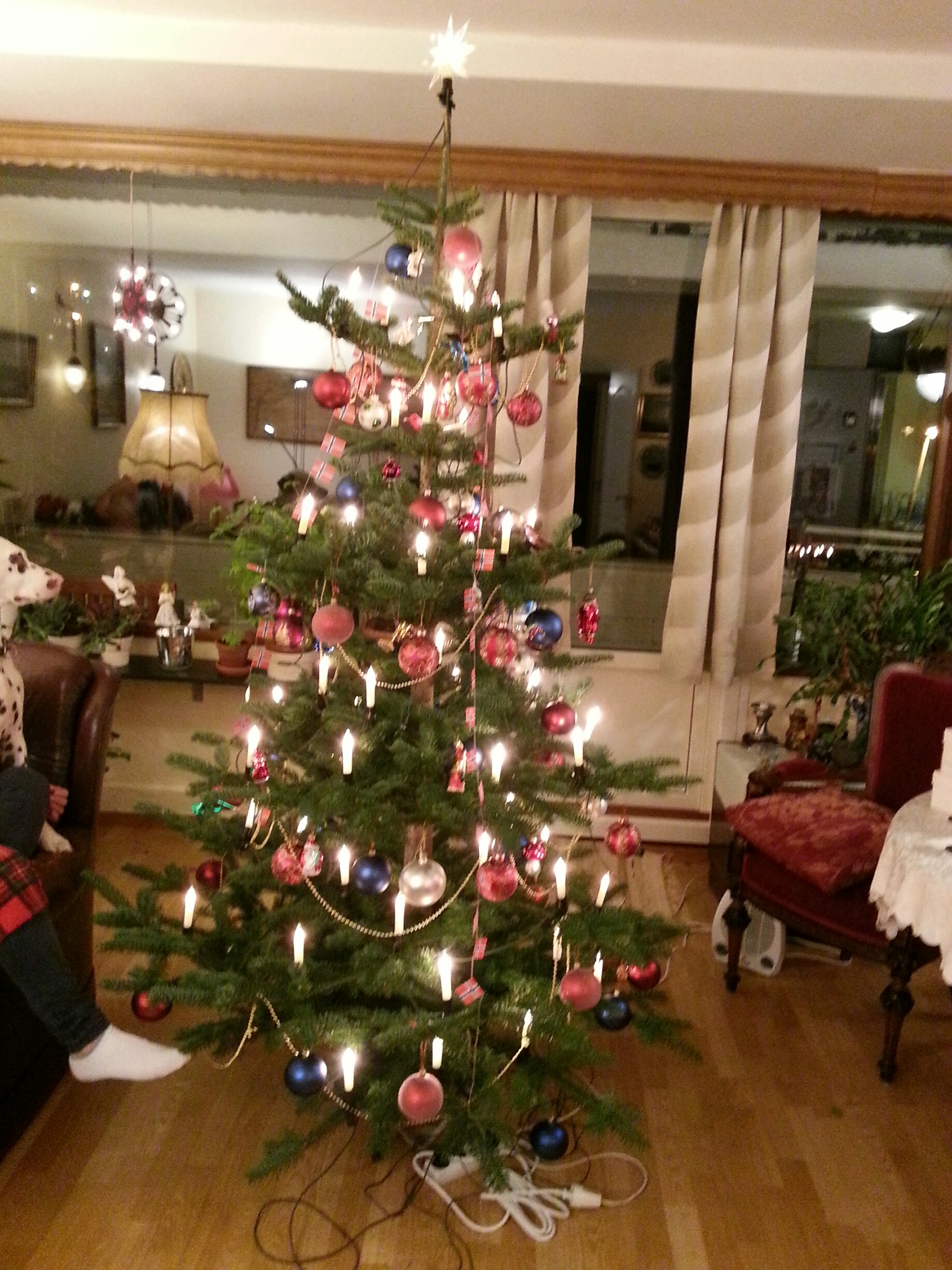 christmas tree